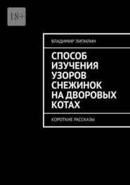 бесплатно читать книгу Способ изучения узоров снежинок на дворовых котах. Короткие рассказы автора Владимир Липилин