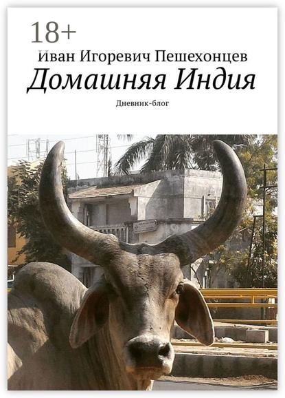 Домашняя Индия. Дневник-блог