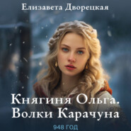 бесплатно читать книгу Ольга, княгиня зимних волков автора Елизавета Дворецкая