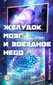 бесплатно читать книгу Желудок, мозг и звёздное небо автора Анатолий Пушкарёв