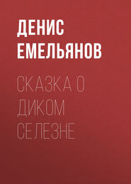 бесплатно читать книгу Сказка о диком Селезне автора Денис Емельянов