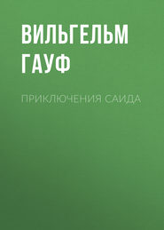 бесплатно читать книгу Приключения Саида автора Вильгельм Гауф