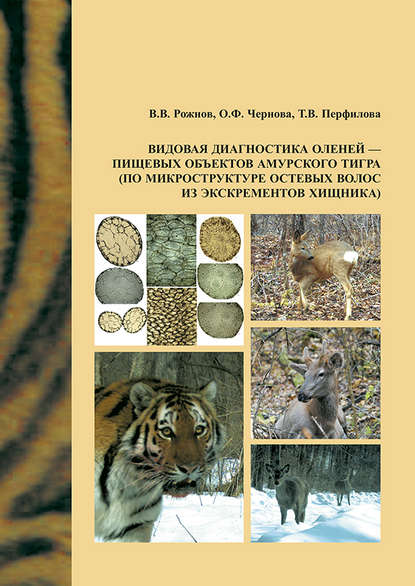 Видовая диагностика оленей – пищевых объектов амурского тигра (по микроструктуре остевых волос из экскрементов хищника)