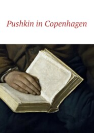 бесплатно читать книгу Pushkin in Copenhagen автора Irina Bjørnø