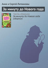 бесплатно читать книгу За минуту до Нового года автора Анна и Сергей Литвиновы