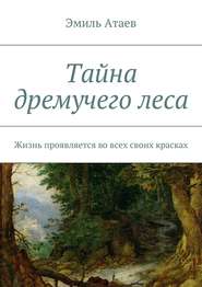 бесплатно читать книгу Тайна дремучего леса. Жизнь проявляется во всех своих красках автора Эмиль Атаев