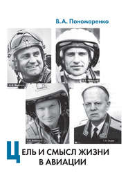 бесплатно читать книгу Цель и смысл жизни в авиации автора Владимир Пономаренко