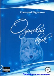 бесплатно читать книгу Одинокий Волк автора Геннадий Бурлаков