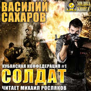 бесплатно читать книгу Солдат автора Василий Сахаров