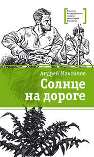 бесплатно читать книгу Солнце на дороге автора Андрей Максимов