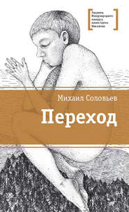 бесплатно читать книгу Переход автора Михаил Соловьев