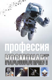 бесплатно читать книгу Профессия космонавт автора Алексей Стейнерт