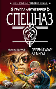 бесплатно читать книгу Первый удар за мной автора Максим Шахов