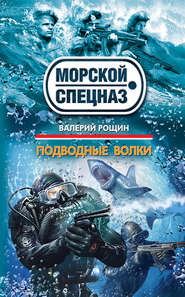 бесплатно читать книгу Подводные волки автора Валерий Рощин