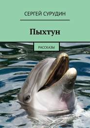 бесплатно читать книгу Пыхтун. Рассказы автора Сергей Сурудин
