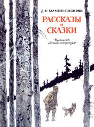 бесплатно читать книгу Рассказы и сказки автора Дмитрий Мамин-Сибиряк