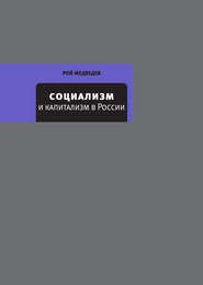 бесплатно читать книгу Социализм и капитализм в России автора Рой Медведев
