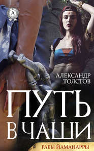 бесплатно читать книгу Путь в чаши автора Александр Толстов