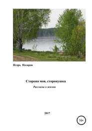 бесплатно читать книгу Сторона моя, сторонушка автора Игорь Назаров