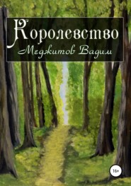 бесплатно читать книгу Королевство автора Вадим Меджитов