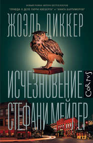 бесплатно читать книгу Исчезновение Стефани Мейлер автора Жоэль Диккер