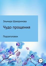 бесплатно читать книгу Чудо прощения автора Эльмира Шакеримова