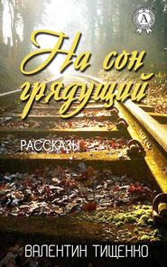 бесплатно читать книгу На сон грядущий автора Валентин Тищенко