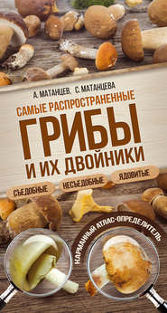 бесплатно читать книгу Самые распространенные грибы и их двойники съедобные, несъедобные, ядовитые автора Светлана Матанцева