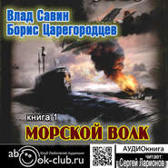 бесплатно читать книгу Морской волк автора Борис Царегородцев