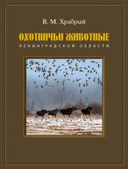 бесплатно читать книгу Охотничьи животные Ленинградской области автора Владимир Храбрый