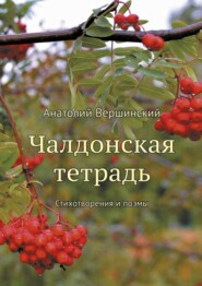 бесплатно читать книгу Чалдонская тетрадь. Стихотворения и поэмы автора Анатолий Вершинский