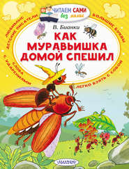 бесплатно читать книгу Как муравьишка домой спешил (сборник) автора Виталий Бианки