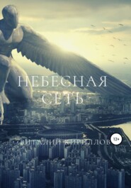 бесплатно читать книгу Небесная сеть автора Виталий Кириллов