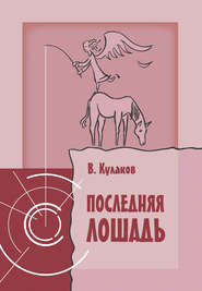 бесплатно читать книгу Последняя лошадь автора Владимир Кулаков