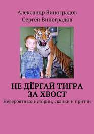 бесплатно читать книгу Не дёргай тигра за хвост. Невероятные истории, сказки и притчи автора Александр Виноградов