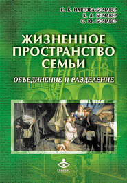 бесплатно читать книгу Жизненное пространство семьи. Объединение и разделение автора Софья Нартова-Бочавер