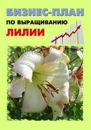 бесплатно читать книгу Бизнес-план по выращиванию лилии автора А. Бруйло