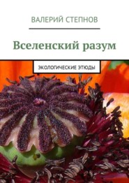 бесплатно читать книгу Вселенский разум. Экологические этюды автора Валерий Степнов