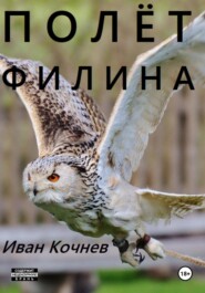 бесплатно читать книгу Полёт Филина автора Иван Кочнев