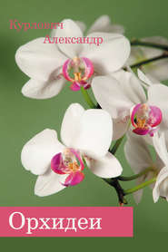 бесплатно читать книгу Орхидеи автора Александр Курлович