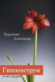 бесплатно читать книгу Гиппеаструм и его родня автора Александр Курлович
