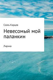 бесплатно читать книгу Невесомый мой паланкин автора Соэль Карцев