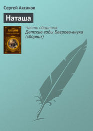 бесплатно читать книгу Наташа автора Сергей Аксаков