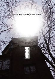 бесплатно читать книгу Полый шар автора Анастасия Афанасьева