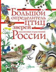 бесплатно читать книгу Большой определитель птиц, зверей, насекомых и растений России автора  Коллектив авторов