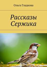 бесплатно читать книгу Рассказы Сержика автора Ольга Гладкова