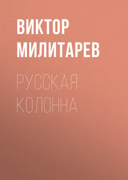 бесплатно читать книгу Русская колонна автора Виктор Милитарев