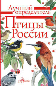 бесплатно читать книгу Птицы России автора Алексей Мосалов