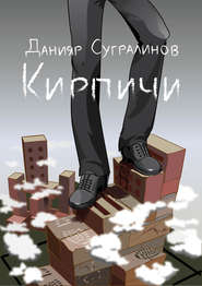 бесплатно читать книгу Кирпичи автора Данияр Сугралинов
