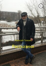 бесплатно читать книгу Рассказики автора Алексей Галкин